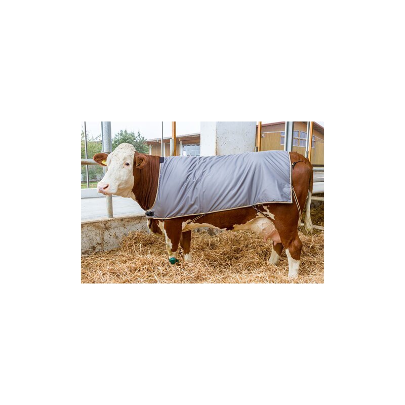 Kerbl Kuhdecke, Thermodecke für Kühe, Rückenlänge 175 cm