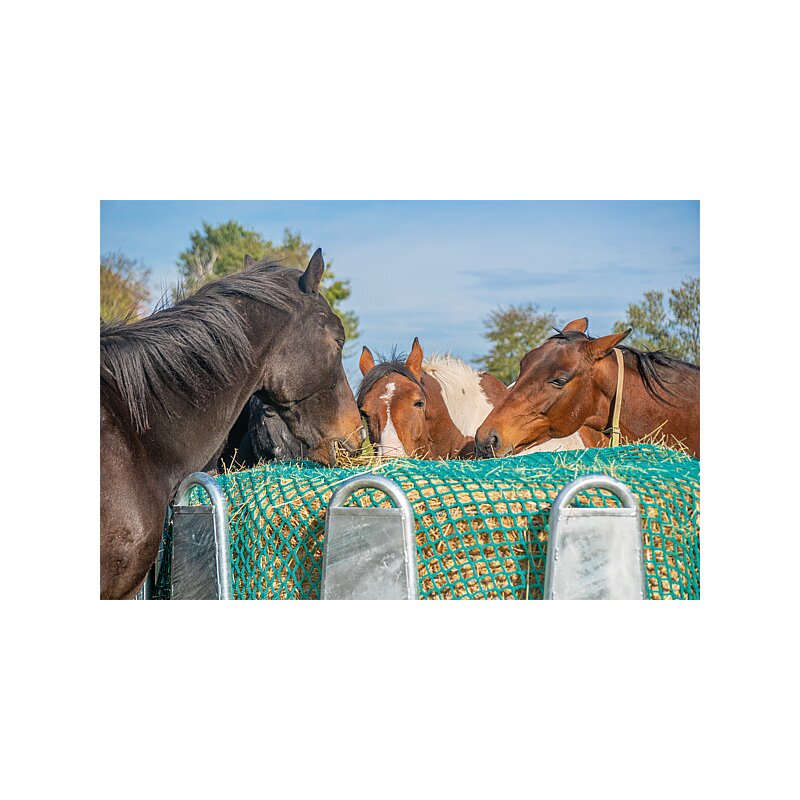 Futtersparnetz für Pferde 2,4 x 2,4 m - Patura
