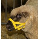 Kerbl Kopfhalfter für Schafe & Böcke